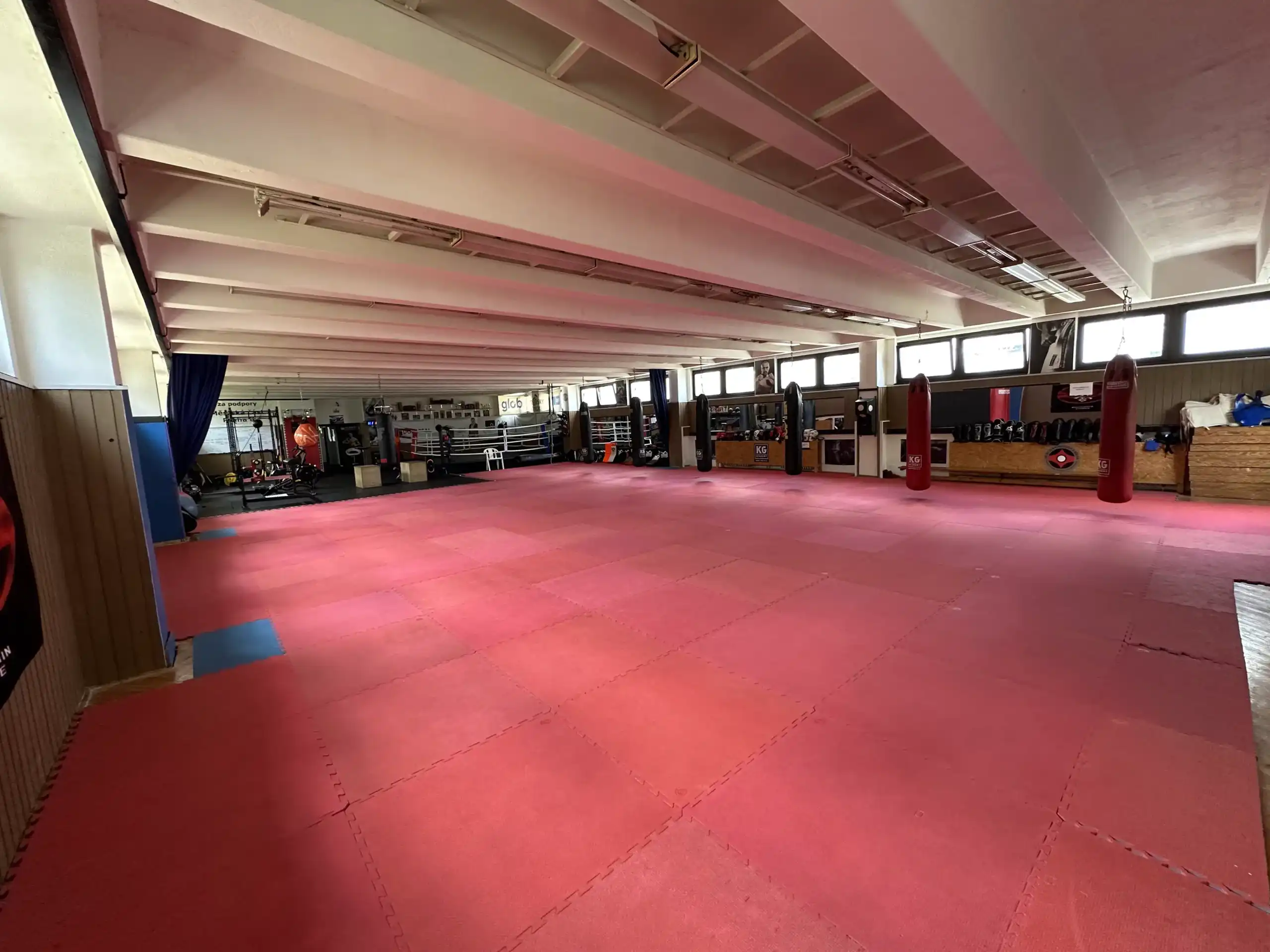 Fotka gymu